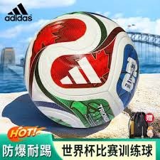 沈阳足球小将国际赛场夺冠展现实力